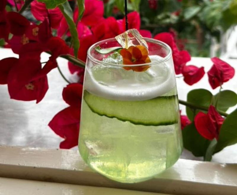 Cucumber Crush