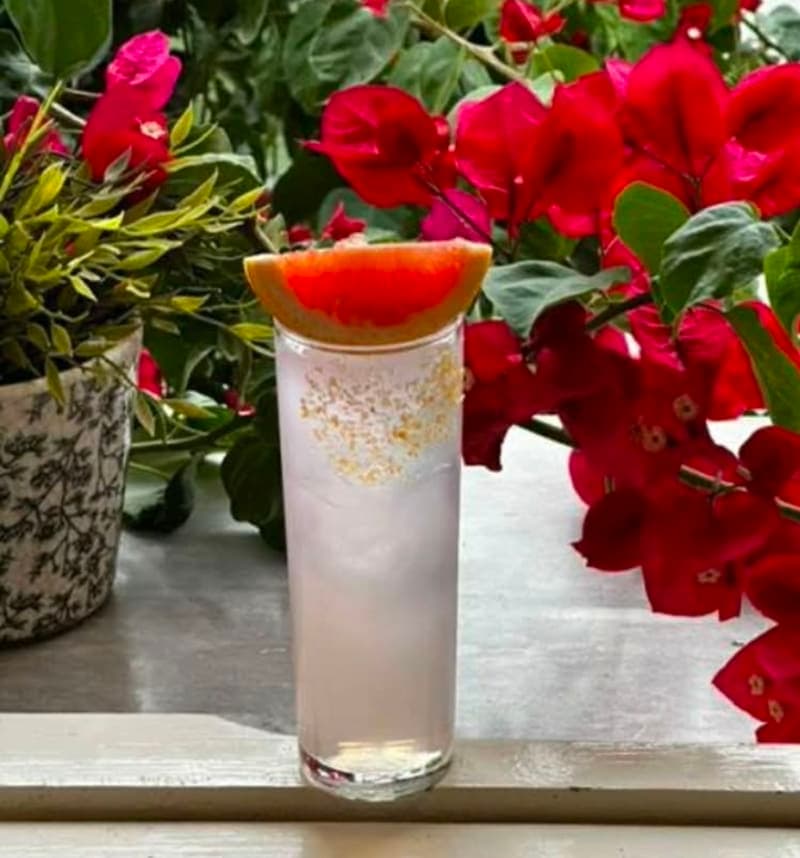 Paloma